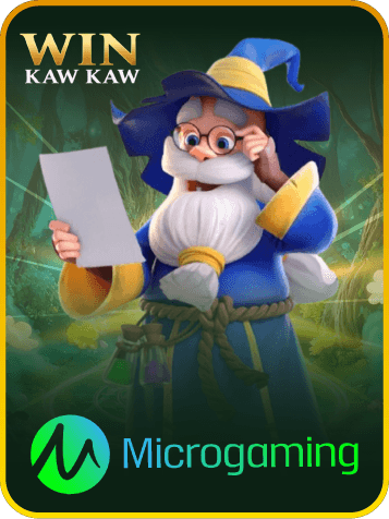 MICRO GAMING SLOT